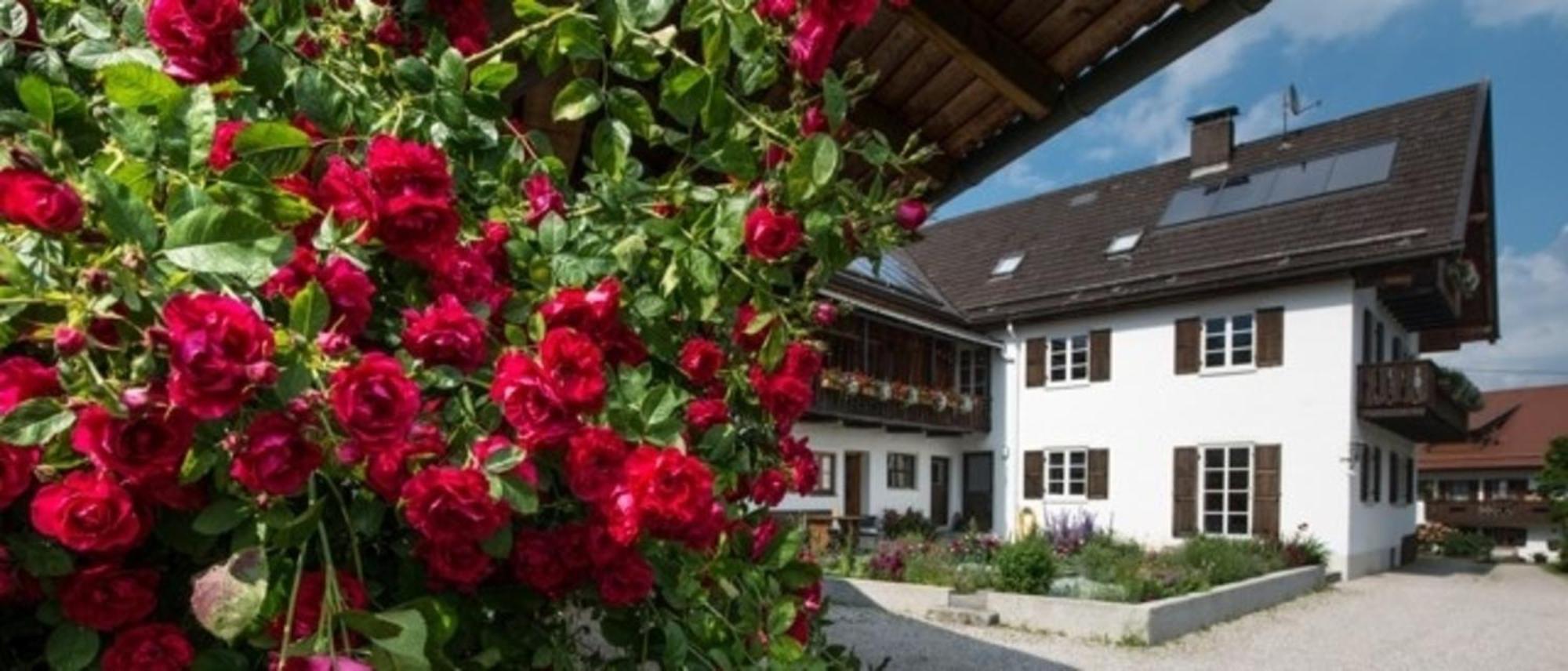 Ferienwohnung Lacherhof Зегаузен-ам-Штаффельзе Екстер'єр фото
